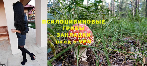 прущие крисы Алексеевка