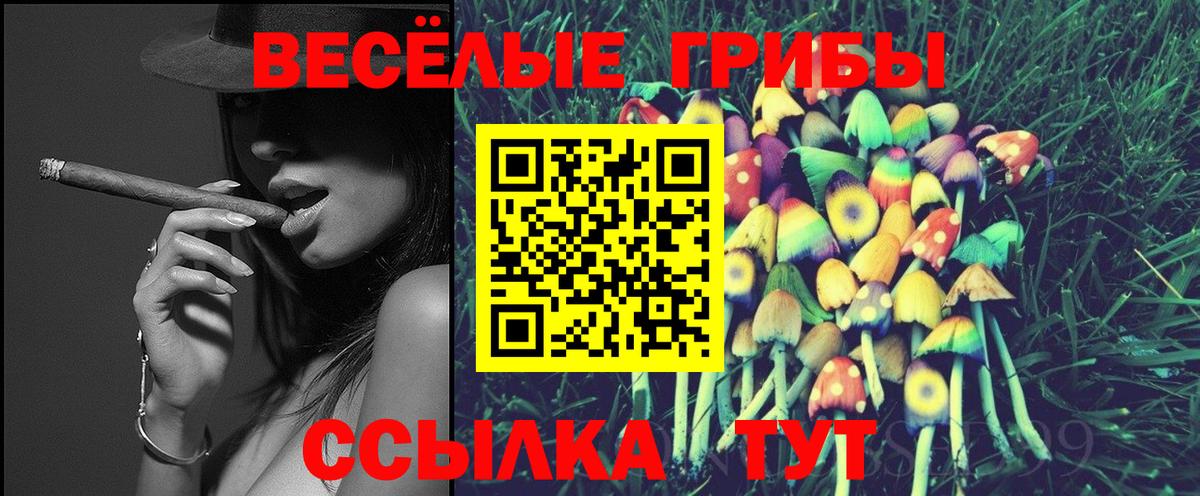 Тейково  Псилоцибиновые грибы MAGIC MUSHROOMS  Вход с VPN 